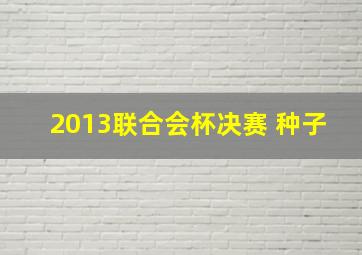 2013联合会杯决赛 种子